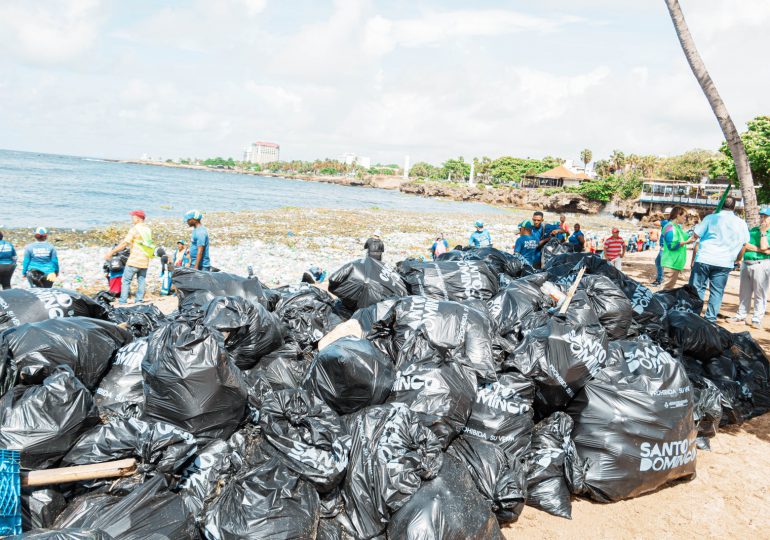 VIDEO | Diversas instituciones trabajan en limpieza de la Playa de Montesinos