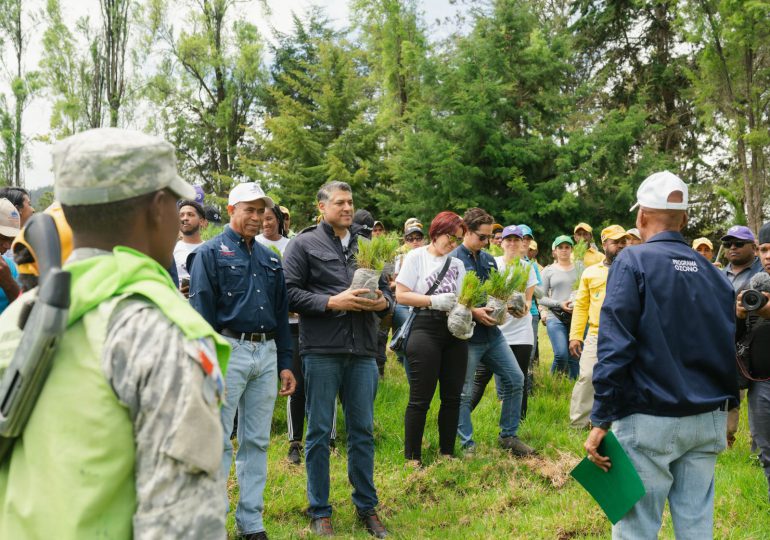 FOTOS | En jornada de Reforestación en Valle Nuevo, voluntarios de Arajet siembran más de dos mil árboles