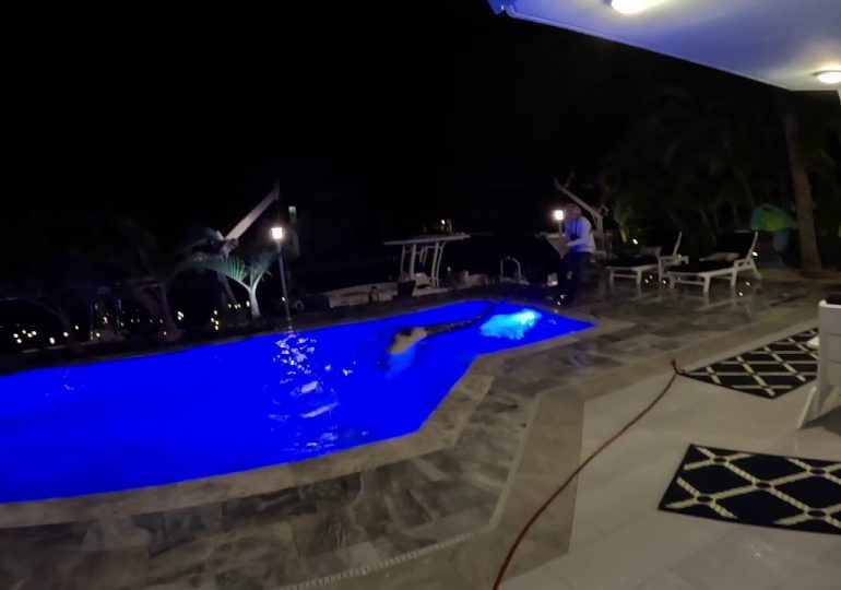 VIDEO | Un hombre en Florida descubre un enorme cocodrilo dentro de su piscina