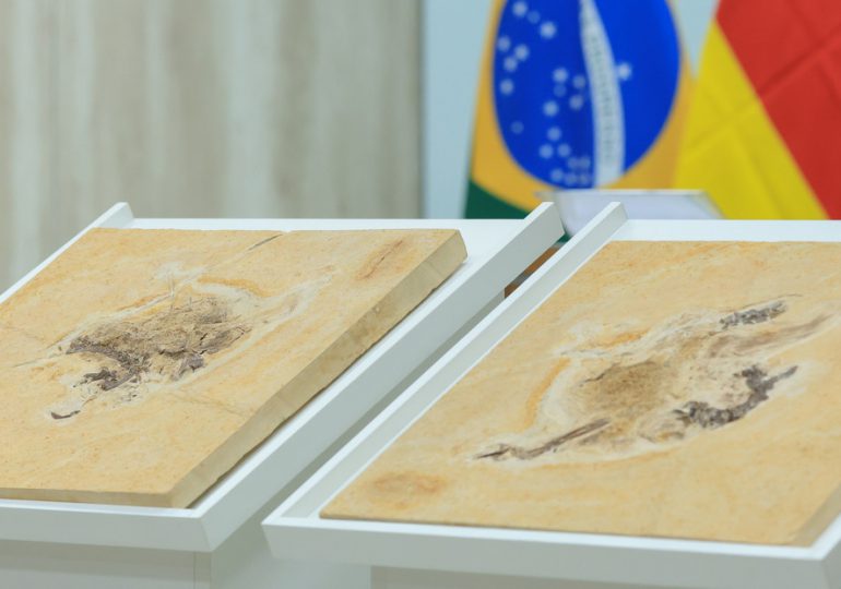 Brasil recupera fósil de dinosaurio en Alemania en su lucha contra "el colonialismo científico"