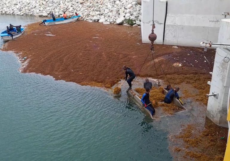 VIDEO | Fallece uno de los buzos que realizaba operativos de retiro de sargazo en Punta Catalina