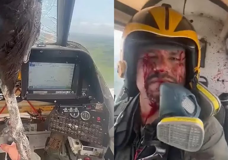 VIDEO | Impresionante choque en Ecuador de una avioneta con un ave gigante