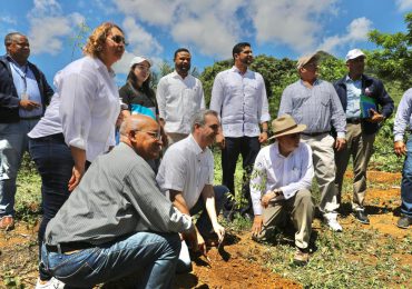 VIDEO | Luis Abinader declara Plan de Reforestación de seguridad nacional