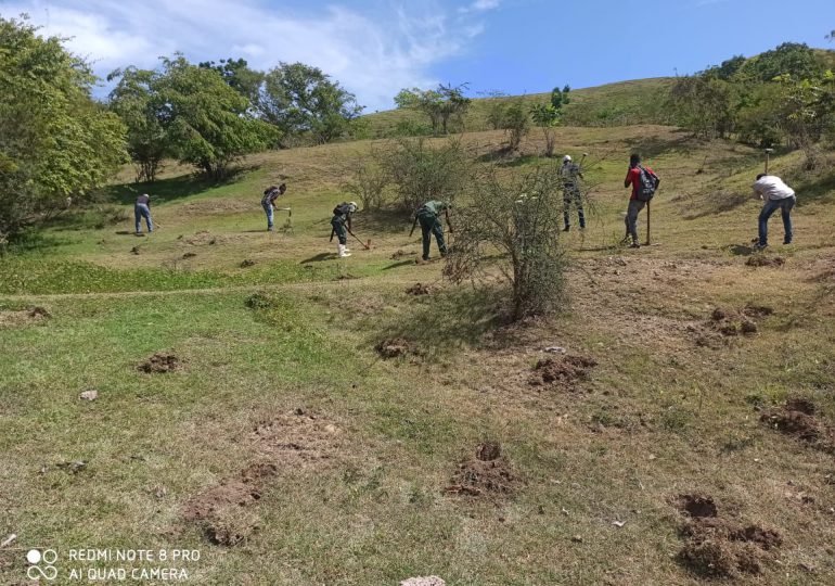 Medio Ambiente planta caoba criolla, cedro y samán en el entorno de la Carretera Internacional