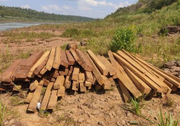 Fiscalía pide multa en Francia a empresa que importó madera de Brasil