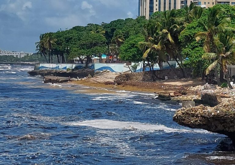 VIDEO | Pescadores afectados por llegada de sargazo a Malecón de Santo Domingo