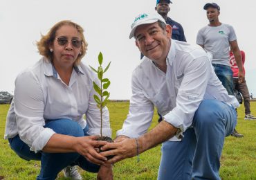 Recursos Costeros y Marinos celebra Día de los Océanos con reforestación del manglar y limpieza en zona arrecifal de San Cristóbal