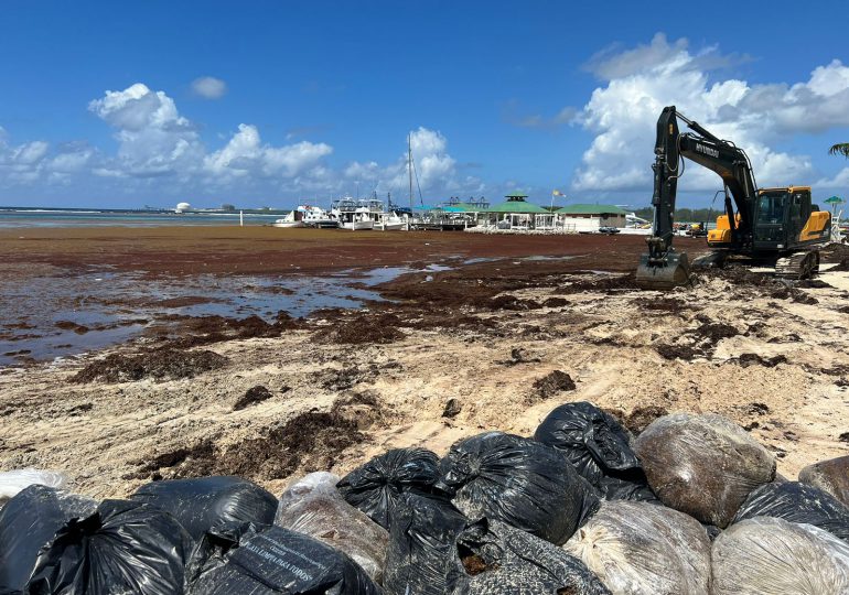 Zorrilla Ozuna pide declarar en estado de emergencia playa de Boca Chica por Sargazo