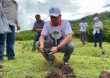 VIDEO | Ministerio de Agricultura siembra más de mil plantas en San Cristóbal