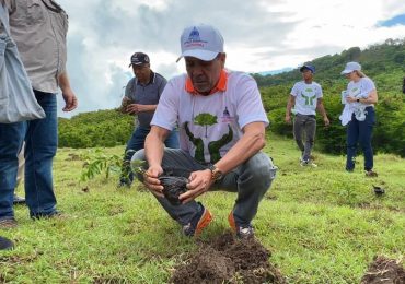 VIDEO | Ministerio de Agricultura siembra más de mil plantas en San Cristóbal
