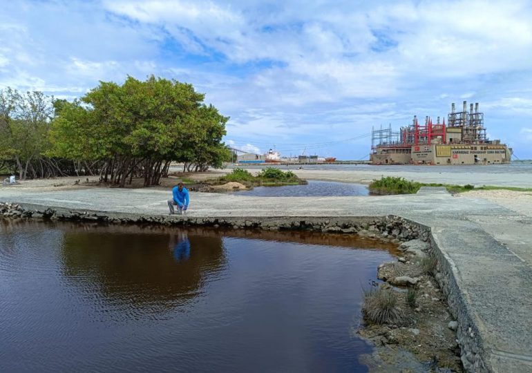 Contaminantes químicos y orgánicos de actividades agrícolas pudieron provocar muertes de peces en Azua