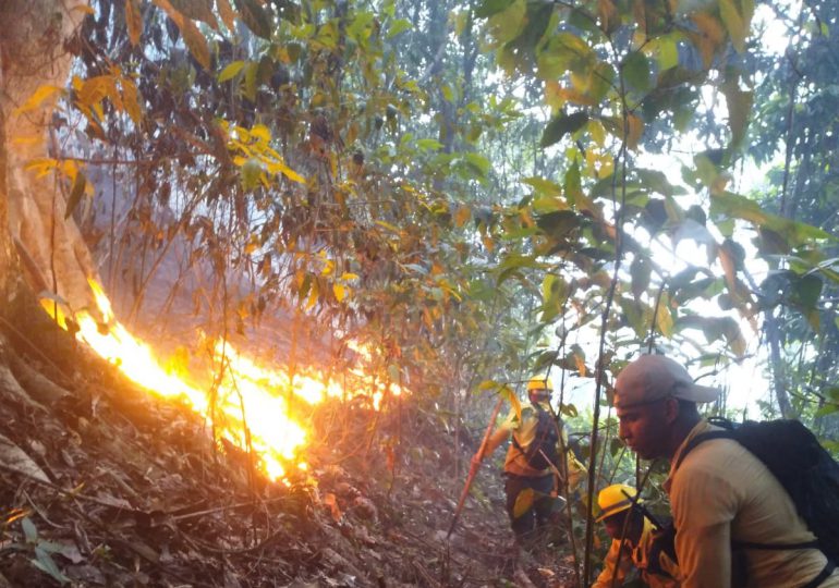 Video| Bomberos forestales trabajan para terminar de extinguir el incendio registrado en Saltos de Jima  