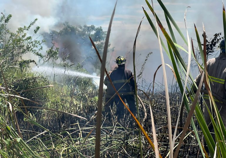 Incendio en Lagunas de Cabarete y Goleta está controlado, informó Medio Ambiente