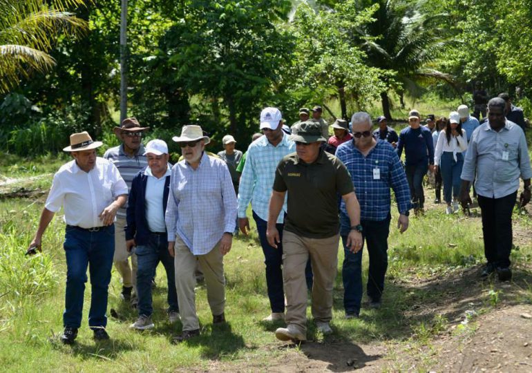 Ceara Hatton recorre áreas de Loma Los Siete Picos y Loma Novillero deforestadas por desaprensivos