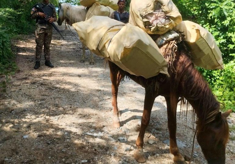 Ejército detiene dos caballos con más de 100 mil unidades de cigarrillos en la frontera por Dajabón