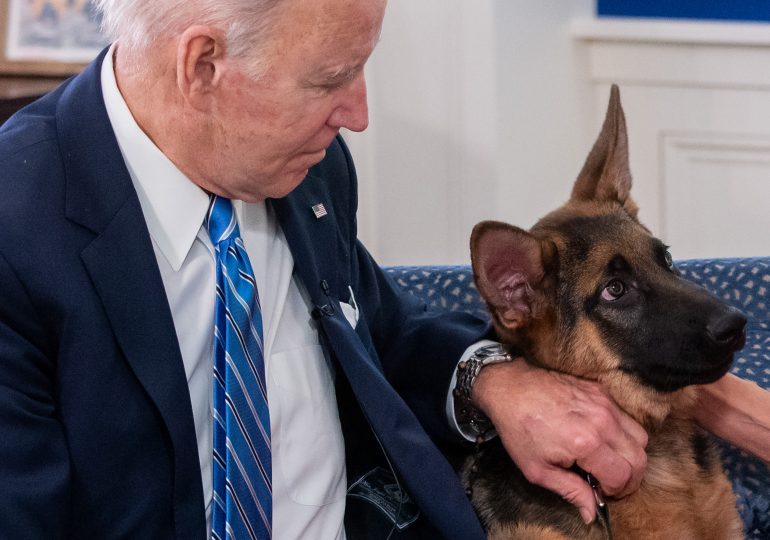 Un perro de Biden acusado de morder al personal de la Casa Blanca