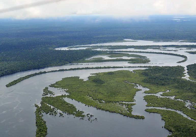 Deforestación en Amazonia brasileña cae 33% en primer semestre de 2023