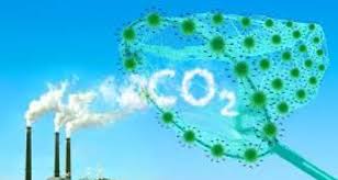 Atrapar el CO2 en la atmósfera, unas tecnologías en pleno desarrollo