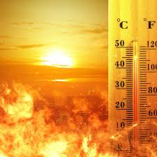 La ONU confirma que julio será el mes más cálido jamás registrado
