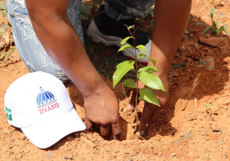 INABIE respalda disposición del gobierno al plantar 2,050 árboles en jornada de reforestación en Don Juan, Monte Plata