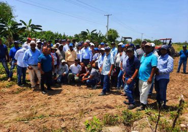 VIDEO | Ministerio de Agricultura inicia vedas para eliminar cultivos de mosca blanca en Azua