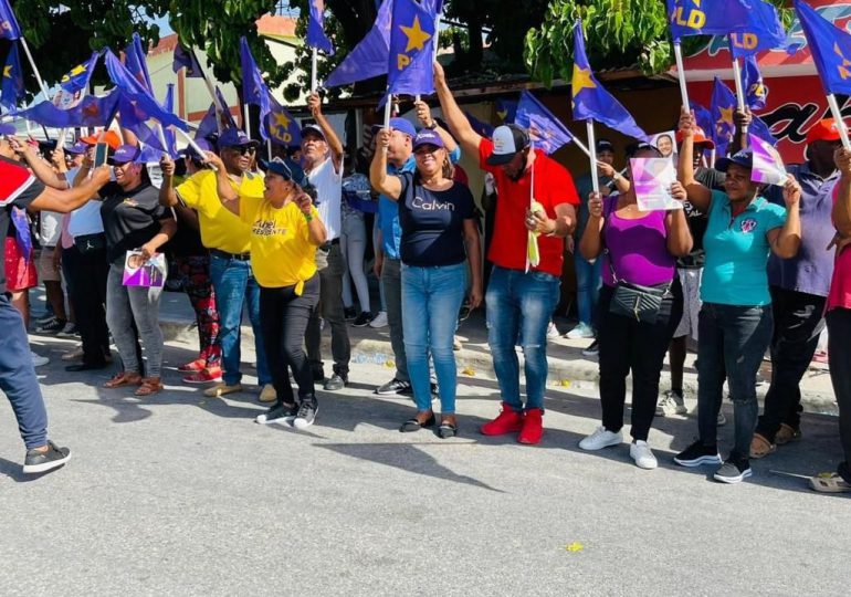 VIDEO | Dominicanos alzan banderas moradas en apoyo a Abel Martínez