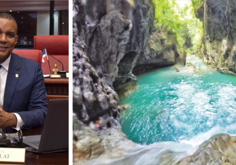 Carlos Gómez: “Espaillat está de júbilo, presidente anuncia ley que declara dicha localidad provincia ecoturística”