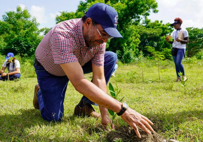 INDRHI reforesta en la cuenca del río Nizao, en el marco del Plan Nacional de Restauración de Bosques