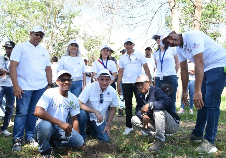 Más de 50 mil tareas sembradas en el territorio nacional; Ministerio de Economía planta 1,000 caobas centenarias en Monte Plata