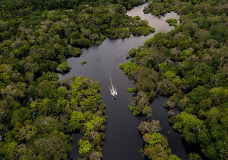 El calentamiento global amenaza el proceso de fotosíntesis de los bosques tropicales