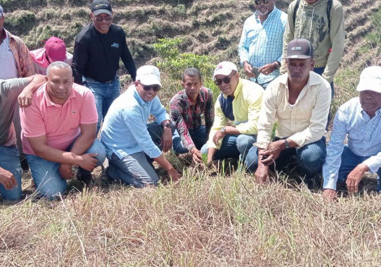 GOLDQUEST inicia plan de reforestación cuenca media del río San Juan en el entorno del proyecto Romero
