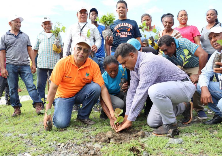 Provincial de Medio Ambiente realiza reforestación en la sección Caribe del río Yuna