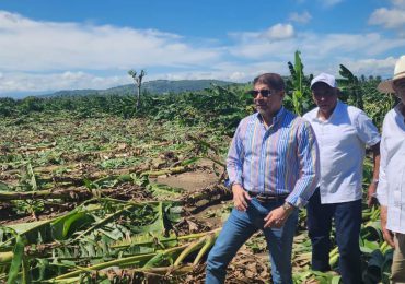 Limber Cruz acude a zona de impacto de tornado que eliminó plantaciones de plátano y arrasó granjas de pollos