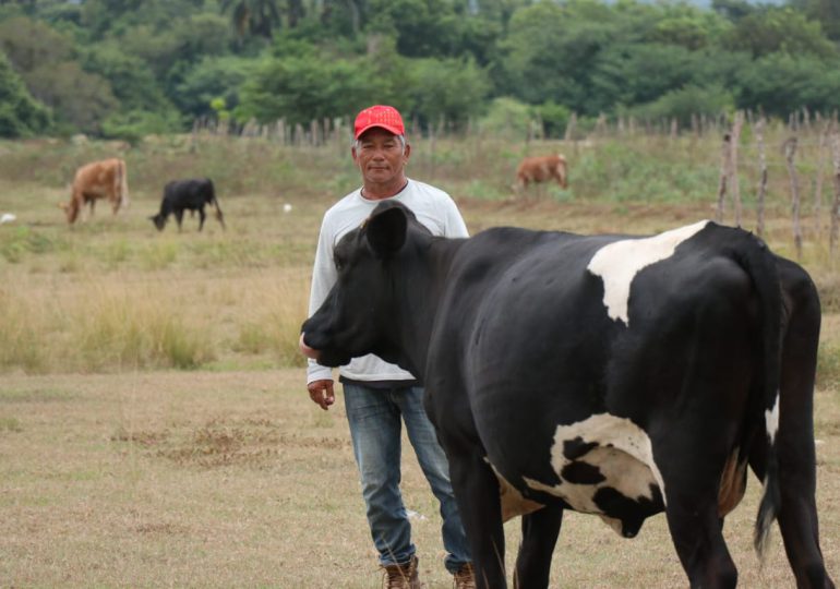 Agricultures y ganaderos a espera de que lluvias por tormenta Franklin lleguen a Dajabón