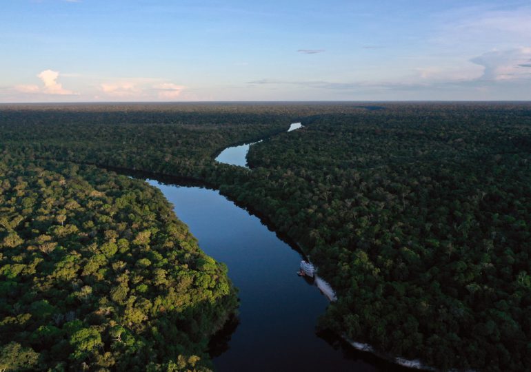 La deforestación en la Amazonía brasileña vuelve a caer 66% en agosto