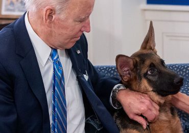 El perro mordedor de los Biden vuelve a hacer de las suyas