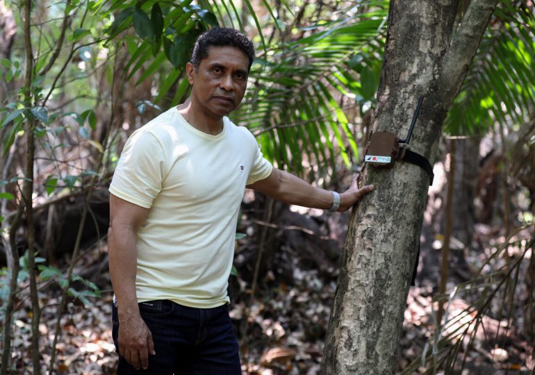 Un "guardián" con IA para luchar contra la deforestación en la Amazonía