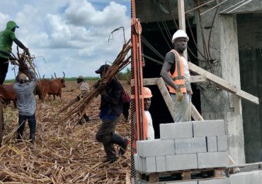 Cierre de frontera no ha afectado sector azucarero y construcción en el país