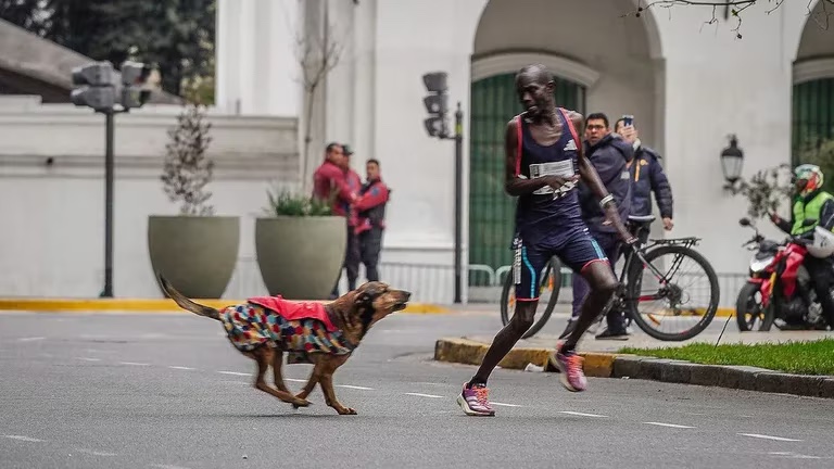 “Estaba realmente asustado”: habló atleta keniano quien fue atacado por un perro en pleno maratón