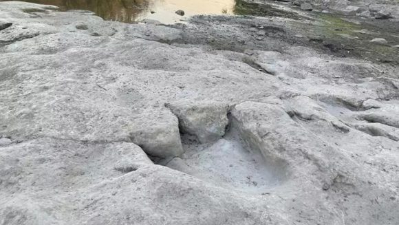 Encuentran huellas de “grandes dinosaurios” tras prolongada sequía en Texas, EEUU