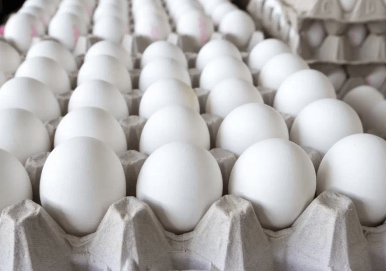 VIDEO | Cuba el nuevo mercado para exportación de huevos desde República Dominicana