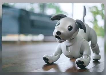 Inicia la adopción de perros robot con inteligencia artificial 