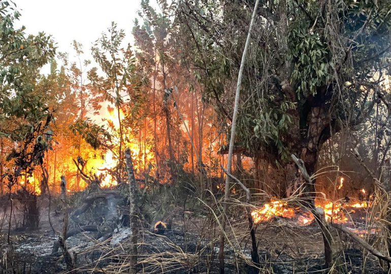 Bomberos forestales trabajan para controlar incendio en área recreativa Loma Guaigüí, en La Vega