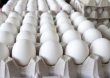Gobierno ha comprado casi 10 millones de huevos a productores afectados por cierre fronterizo