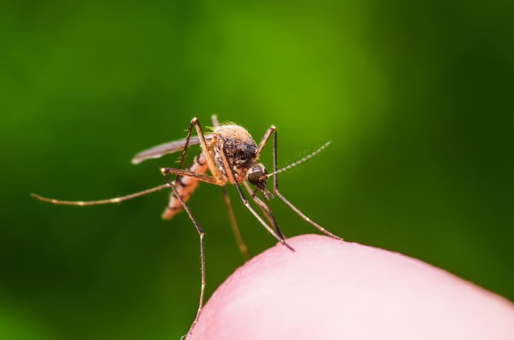 Pese a síntomas del dengue, se desconoce causa de muerte de niña de 11 años en Dajabón