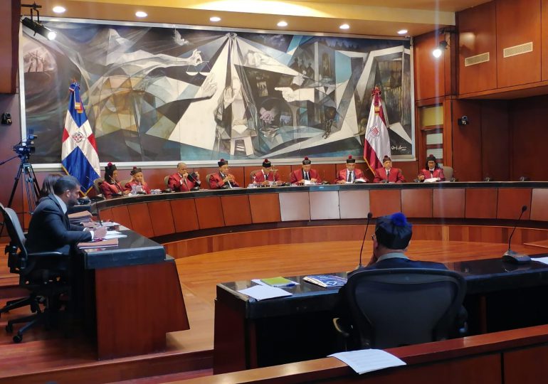 VIDEO | Tribunal Constitucional conoce 10 expedientes de acción directa de inconstitucionalidad