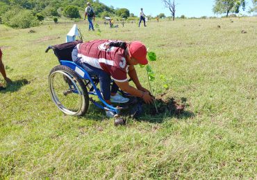 <strong>El Plan Nacional de Reforestación ha plantado más de 600 mil árboles en Dajabón y Restauración  </strong>