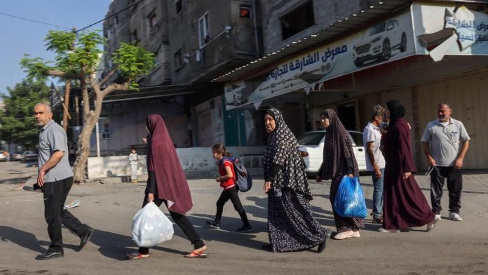 OMS pide que la ayuda humanitaria entre "todos los días" en Gaza