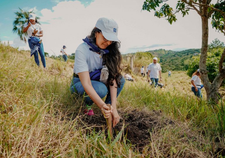 Voluntarios del Banco Popular realizan reforestación en La Sierra