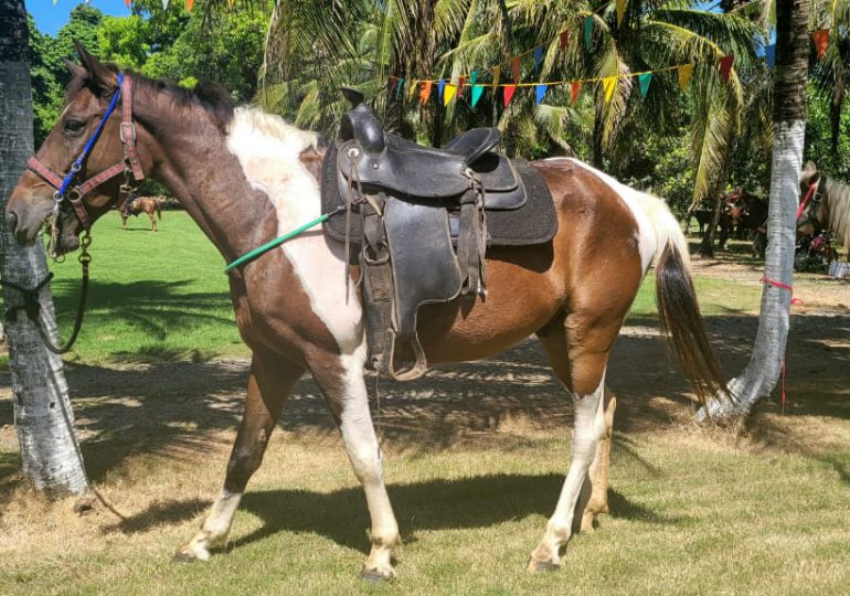 Caballistas de Salamanca realizan con gran éxito la primera entrega del "Salamanca Fest 2023"